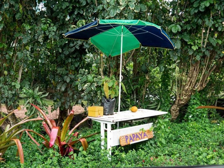 big-island-papaya-stand