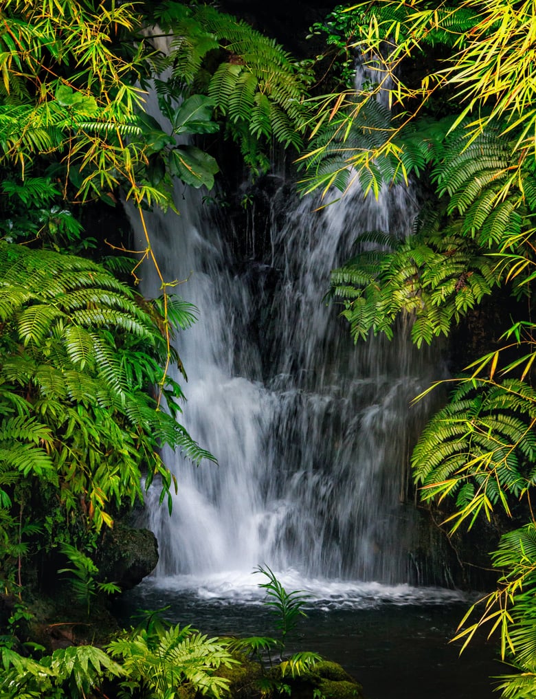 hidden waterfall big island Big Island