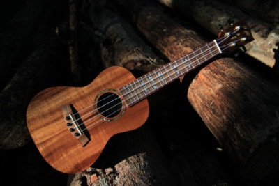 ukulele spielen lernen 1