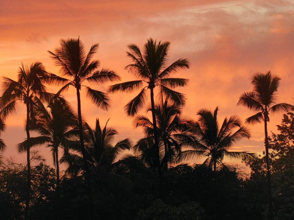 the trip to hawaii big island
