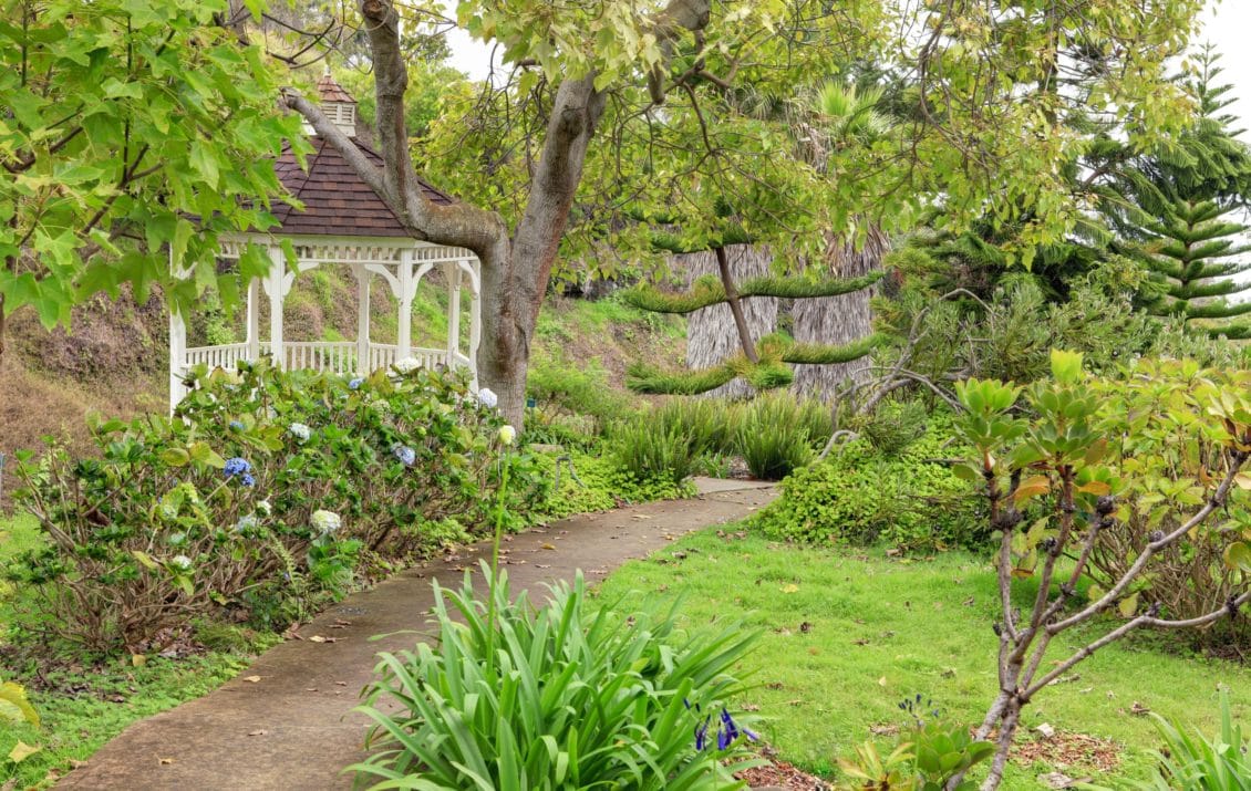 Kula Botancial Garden Maui