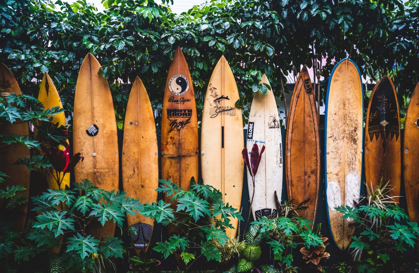 surfboard fence
