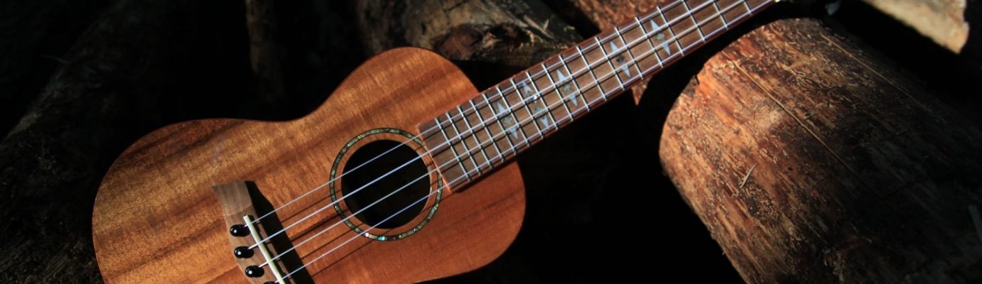 ukulele-play-learn