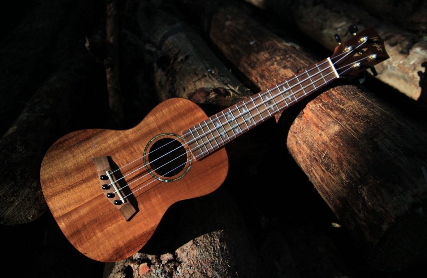 ukulele-play-learn
